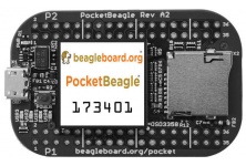 POCKETBEAGLE Development Board